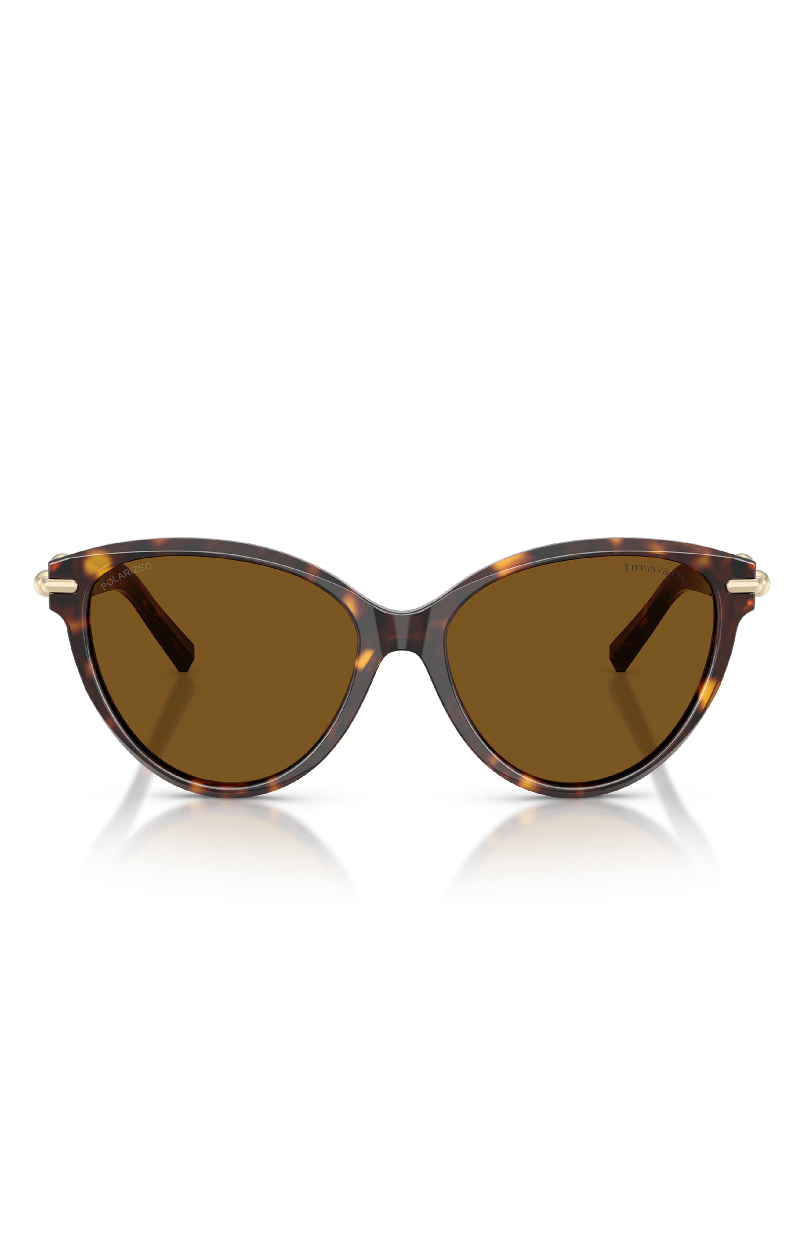 selected HAVANA / DARK BROWN POLAR