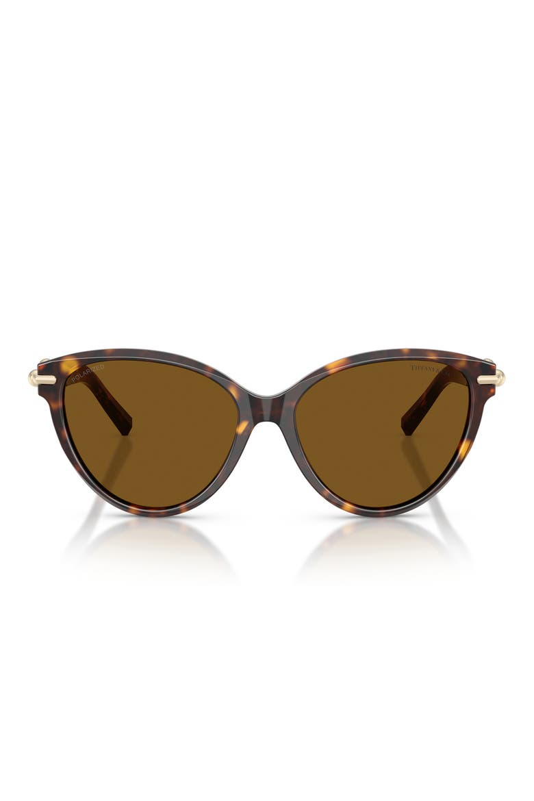 56mm Polarized Cat Eye Sunglasses, Main, color, HAVANA / DARK BROWN POLAR