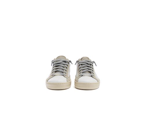 P448 John Sneaker In Multi