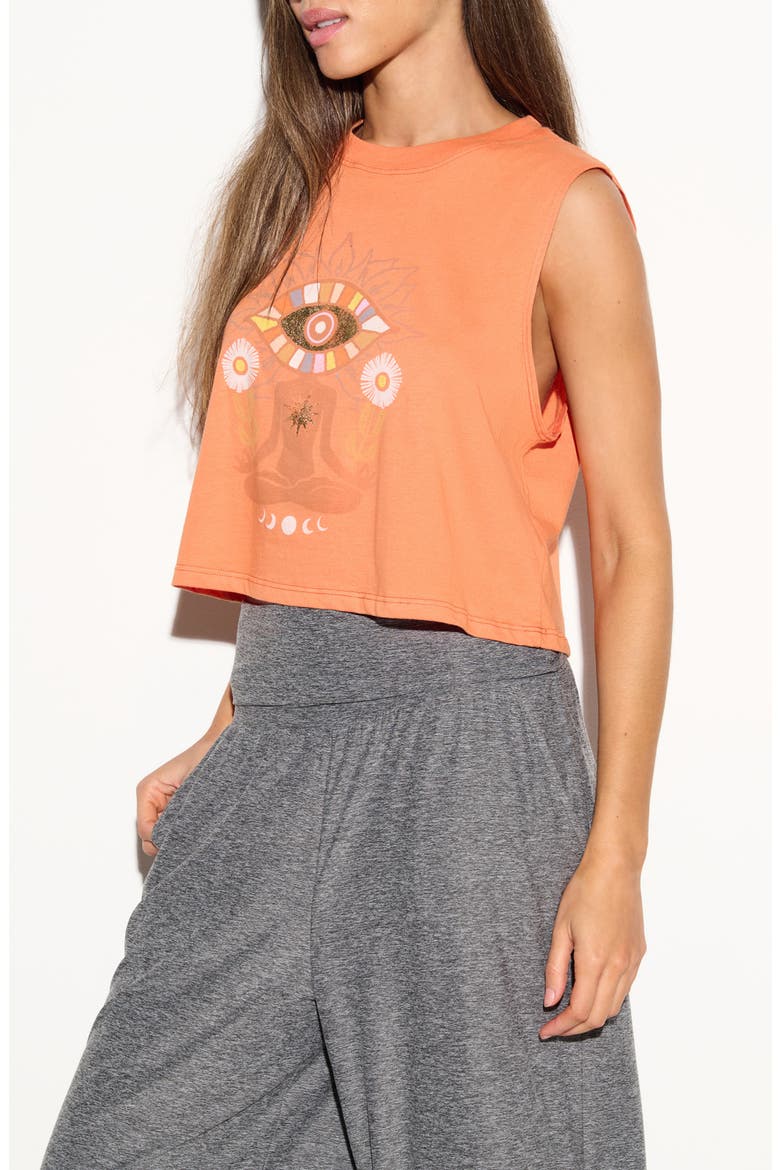 Watchful Spirit Graphic Crop Tank, Alternate, color, DUSTY ORANGE
