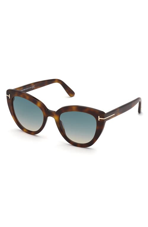 Tom Ford Izzi Acetate Cat-eye Polarized Sunglasses In Dark Havana/gradient Brown