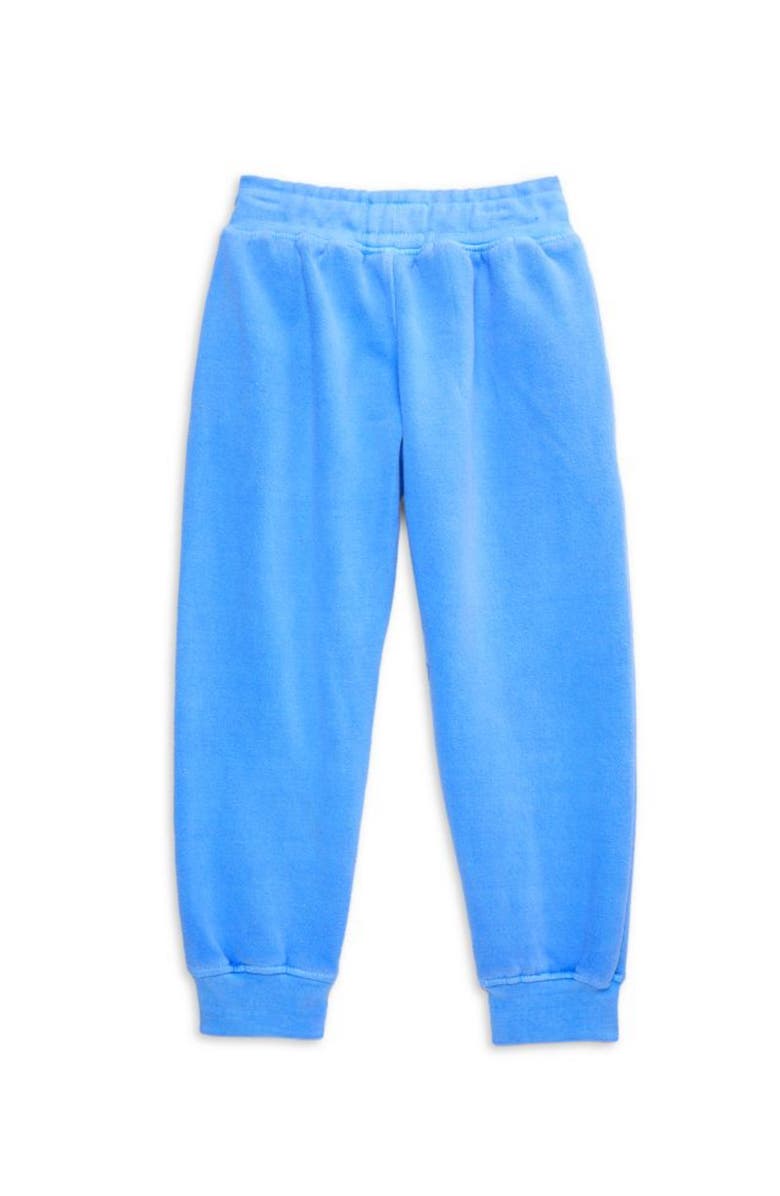 WORTHY THREADS Kids Garment Dyed Joggers, Alternate, color, 