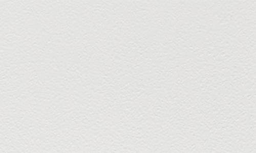 Balmuda The Toaster Pro In White