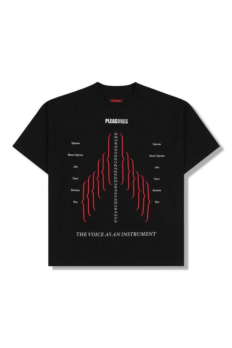 Choir Heavyweight Graphic T-Shirt, Alternate, color, BLACK