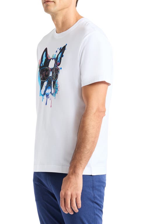 Robert Graham Jetset Frenchie Graphic T-shirt In White