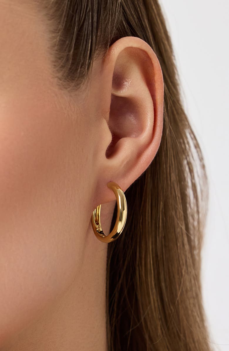 Ana Luisa Gold Hoop Earrings - Giulia Large, Alternate, color, 