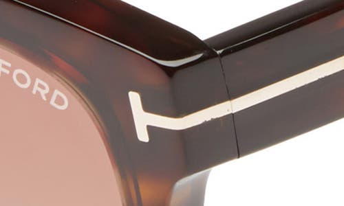 Tom Ford Lauren 02 Mirrored Square Sunglasses In Dark Havana/gradient Brown