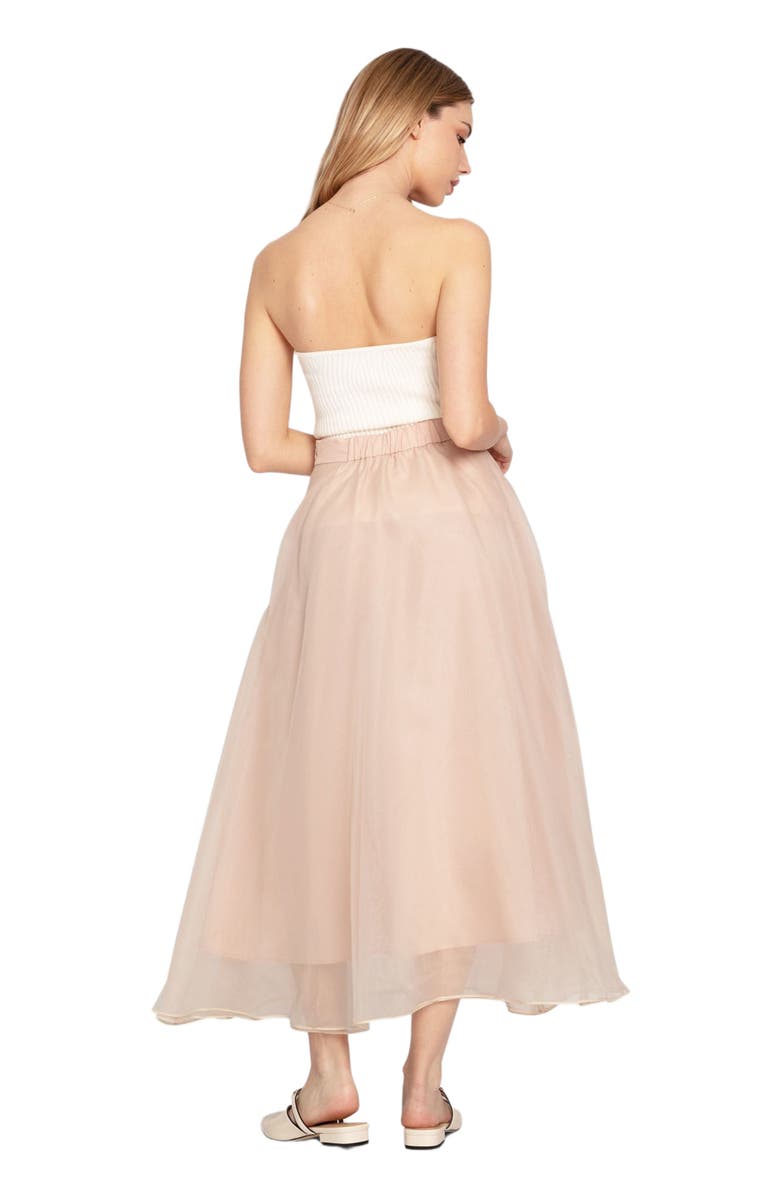 Belle & Bloom Make My Dreams Ballet Skirt, Alternate, color, Dusty Rose