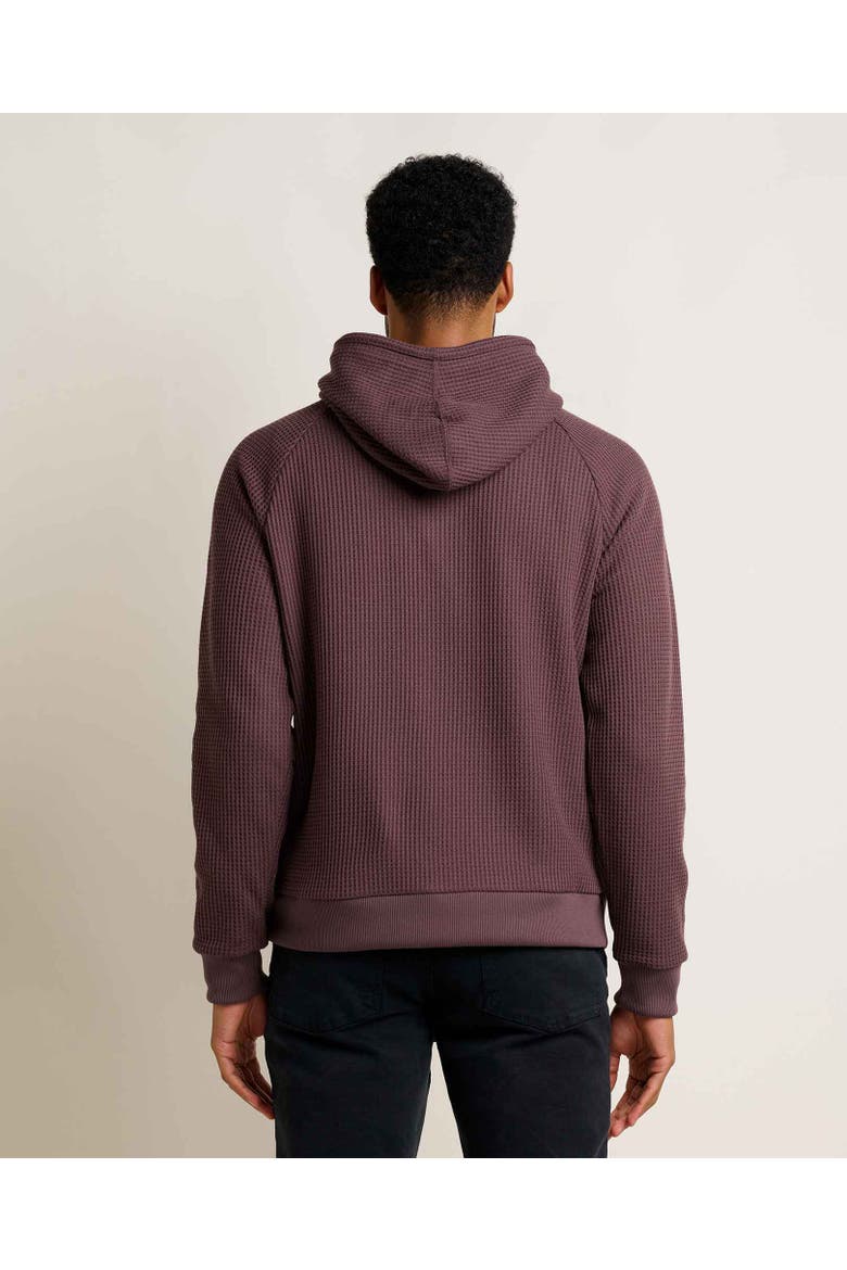 Men's Bitterroot Long Sleeve Hoodie, Alternate, color, Raisin
