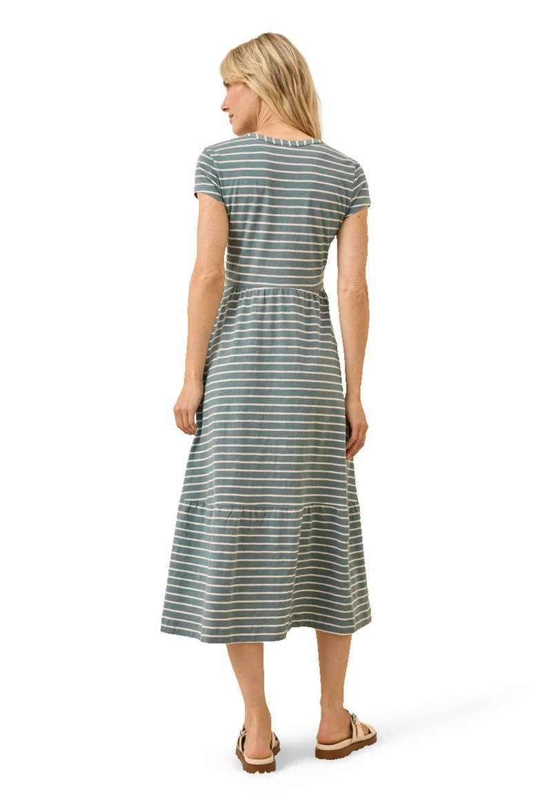 Organic Cotton Relaxed Slub Henley Market Dress, Alternate, color, Burbank Stripe