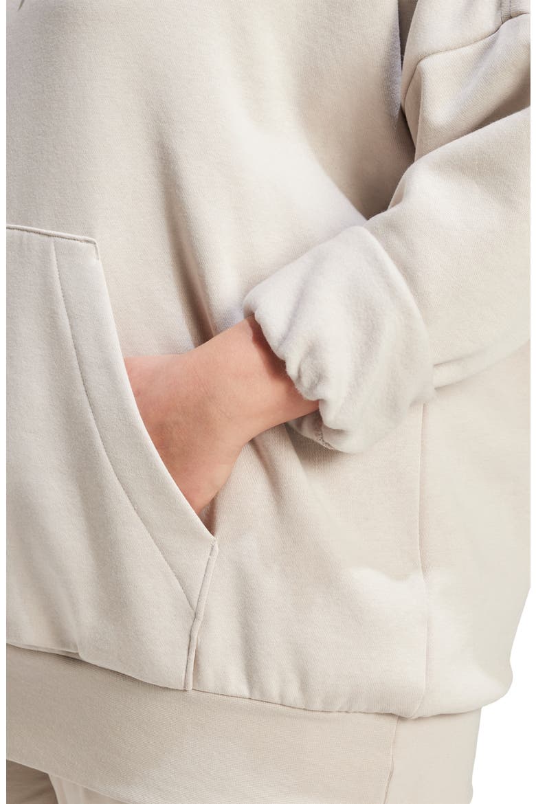 Fleece Hoodie, Alternate, color, WONDER ALUMINA/WHITE