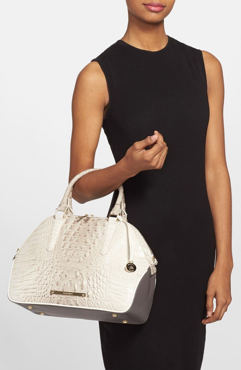 Brahmin , Alternate, color,