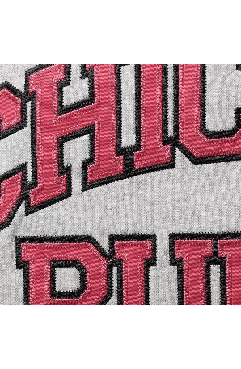 Mitchell & Ness Men's Mitchell & Ness Scottie Pippen Heathered Gray Chicago Bulls Big & Tall Name & Number Pullover Hoodie, Alternate, color, 