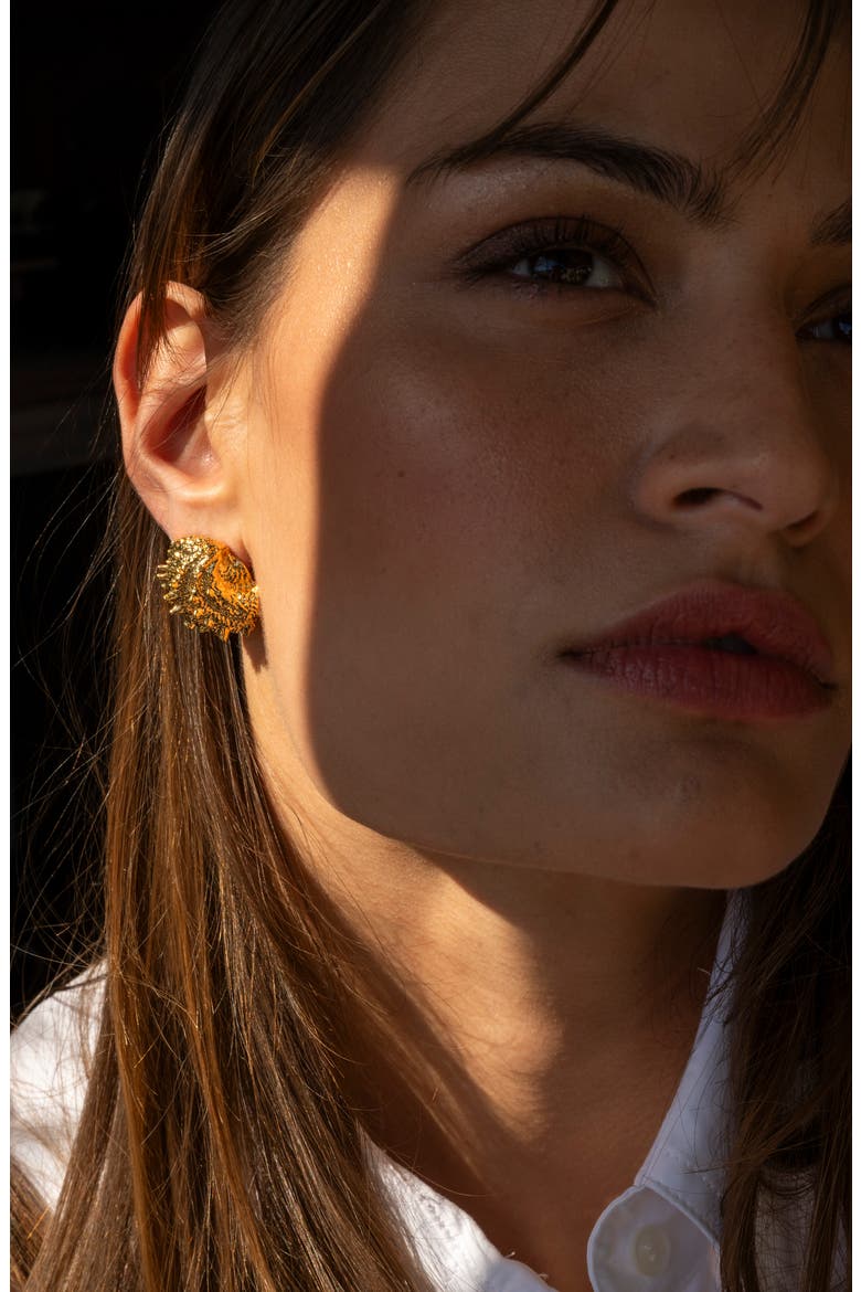 Small Shell Stud Earrings, Alternate, color, 14K GOLD