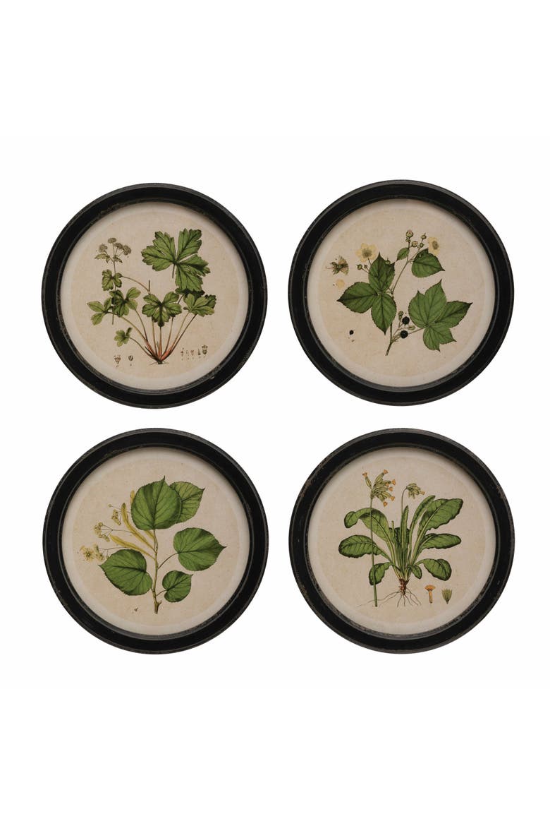 Framed Wall Décor with Vintage Reproduction Botanical Prints, Main, color, Green