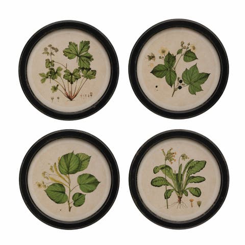 Framed Wall Décor with Vintage Reproduction Botanical Prints
