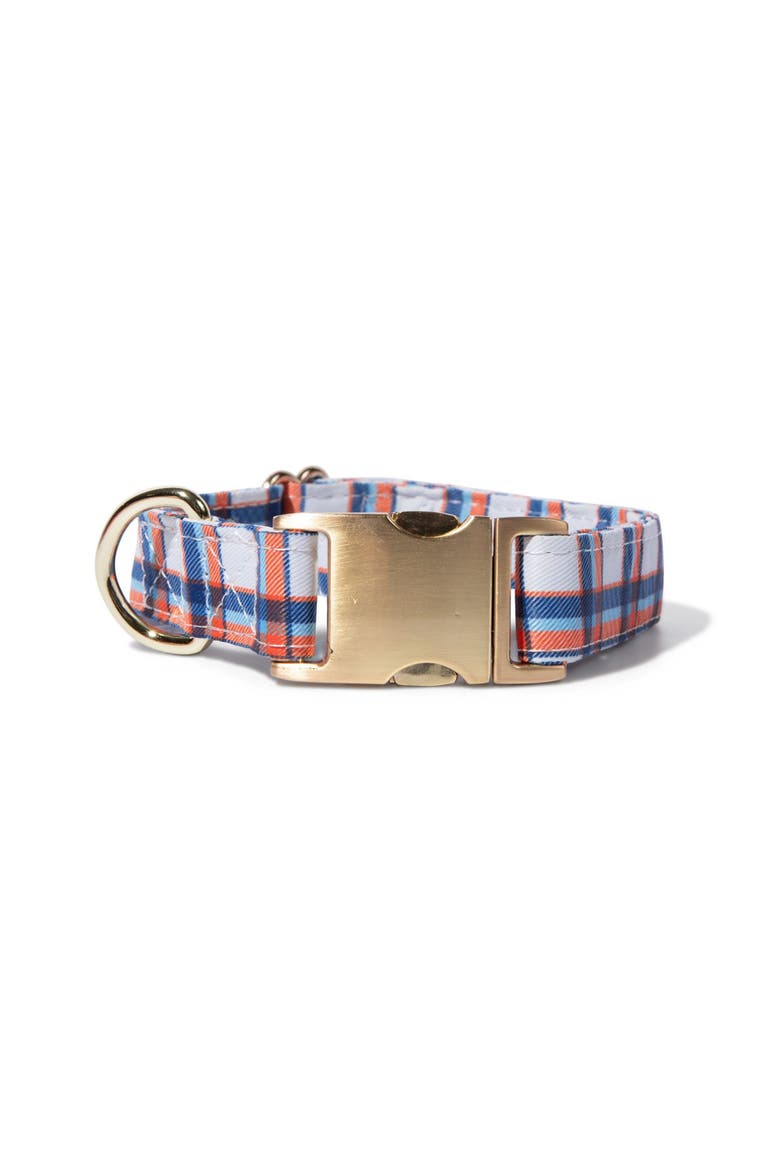 Ringo Dog Collar, Main, color, Ringo