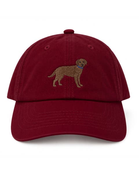 Chocolate Lab Baseball Hat (little Kid, Big Kid)