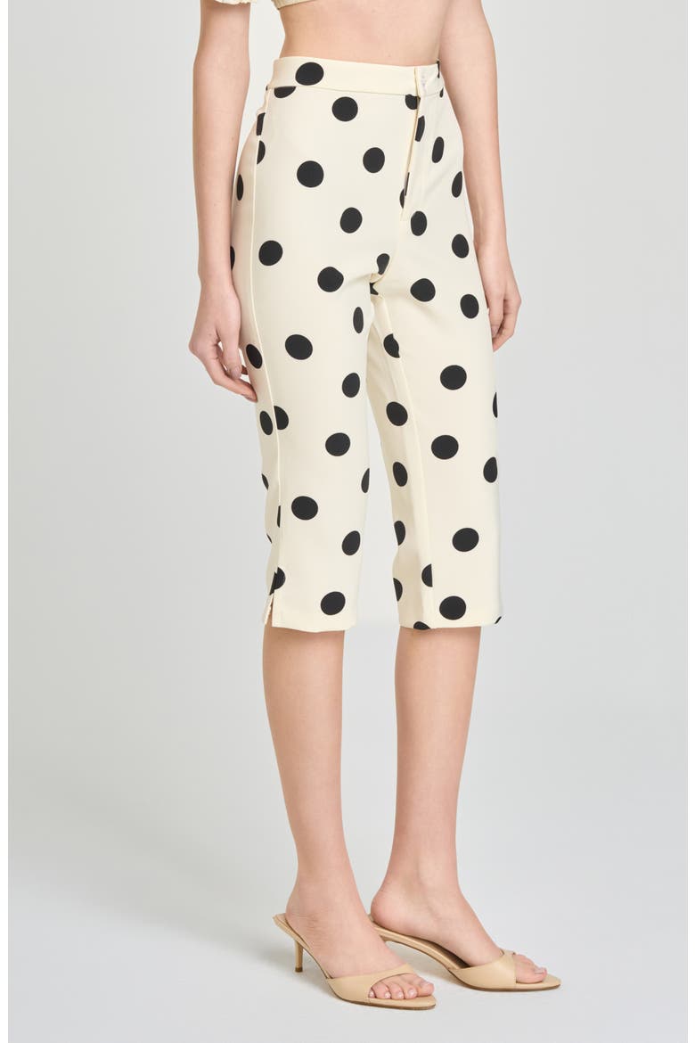 Marcy Polka Dot Capri Pants, Alternate, color, ANT IVORY POLKA DOT