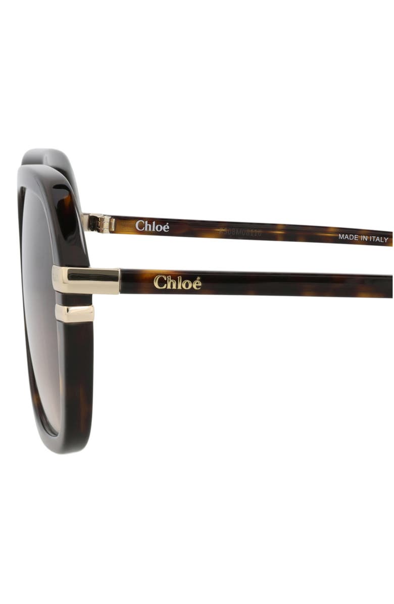 Chloé 57mm Oversize Sunglasses, Alternate, color, Havana/ Havana Brown