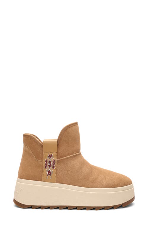 ASH ASH MASK PLATFORM BOOTIE 