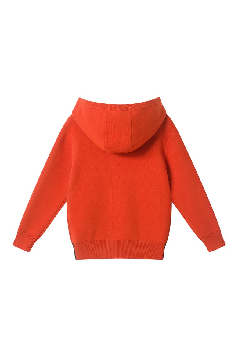 Kids' Monster Halloween Hooded Sweater, Alternate, color, ORO