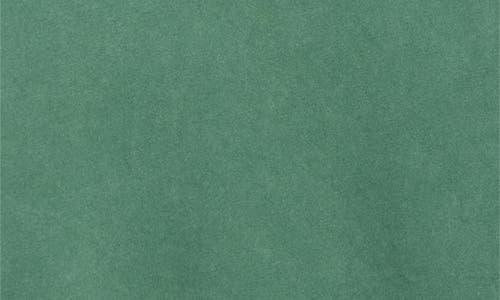 Lucky Brand It's Beginning To Look A Lot Like Cocktails In Green