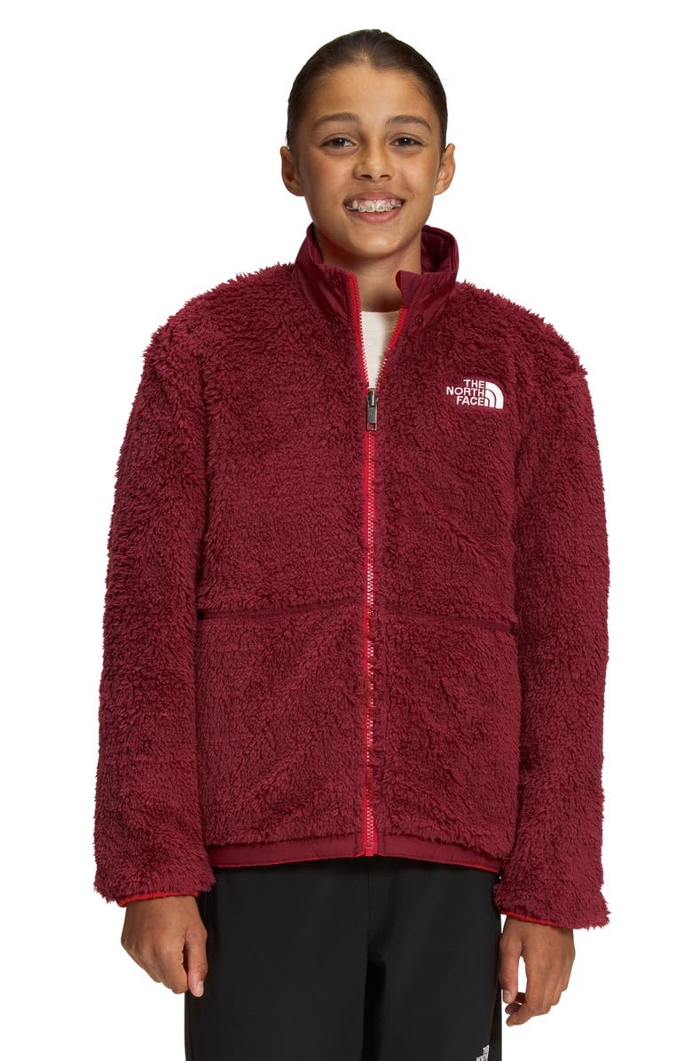 The North Face Kids' Mount Chimbo Water Repellent Reversible Hooded Jacket, Alternate, color, 