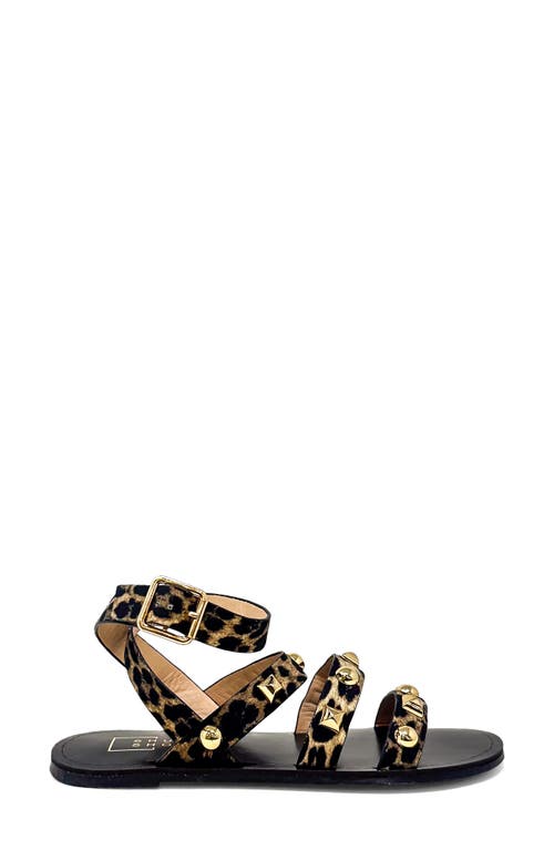 Shushop Daphne Studded Gladiator Sandal In Animal Print