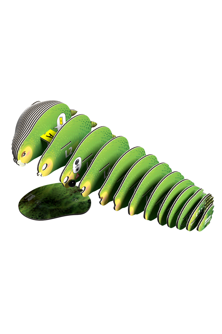 Kakapo 3D Puzzle, Alternate, color, No Color
