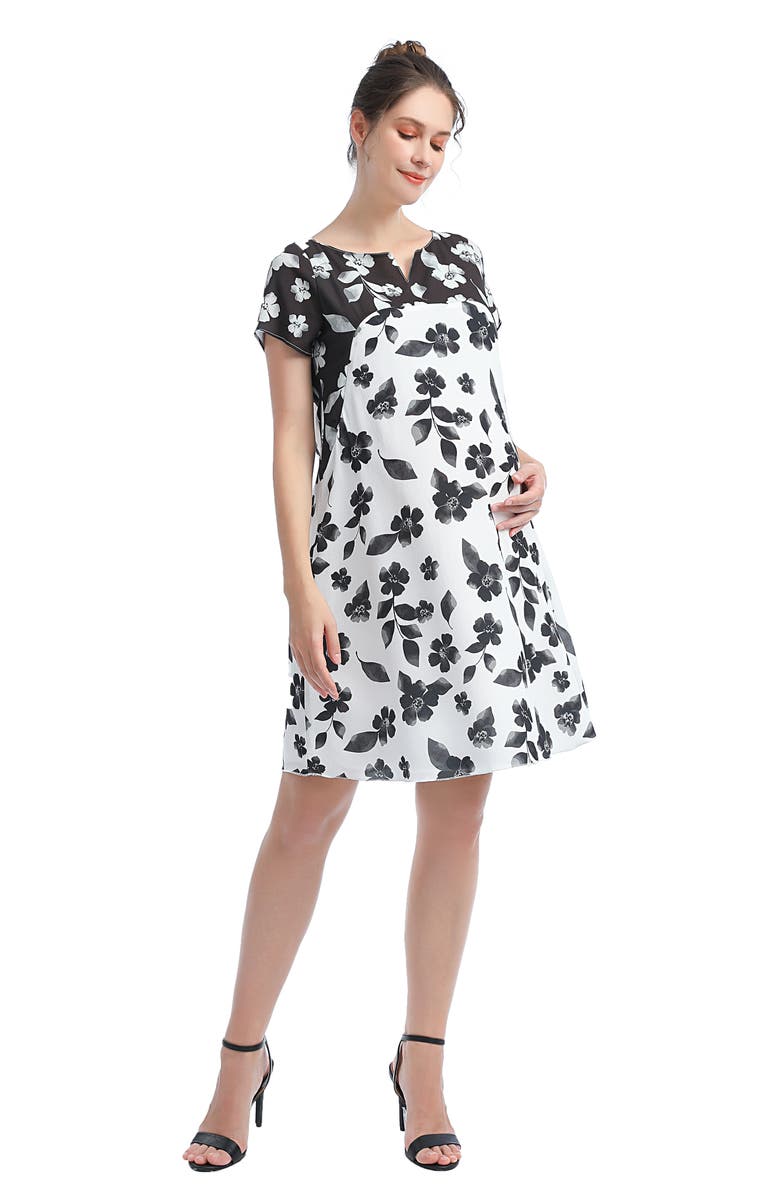 Kimi and Kai Arden Maternity/Nursing A-Line Dress, Alternate, color, 