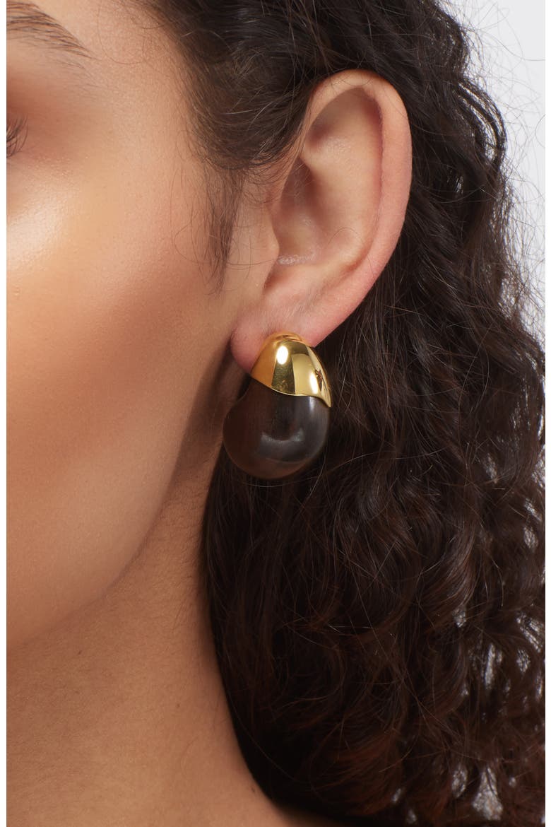 Toro Earrings, Alternate, color, BROWN