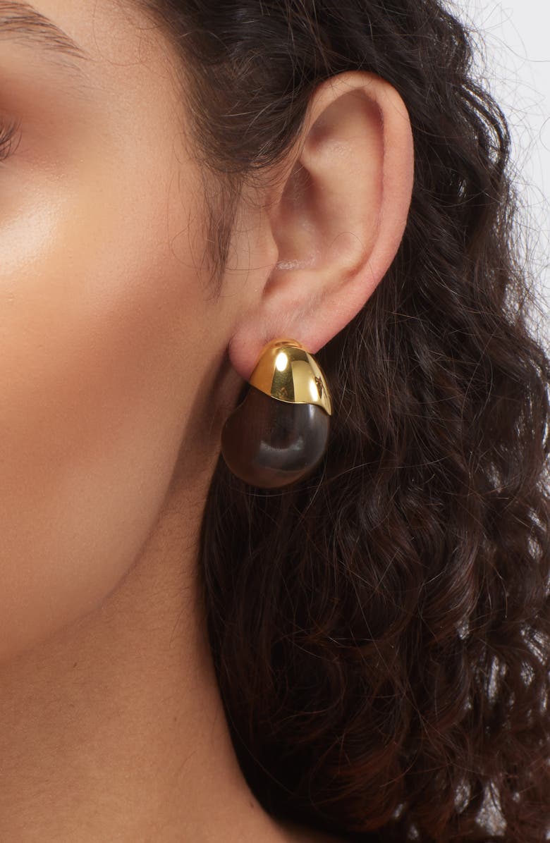 Lizzie Fortunato Toro Earrings, Alternate, color, Brown