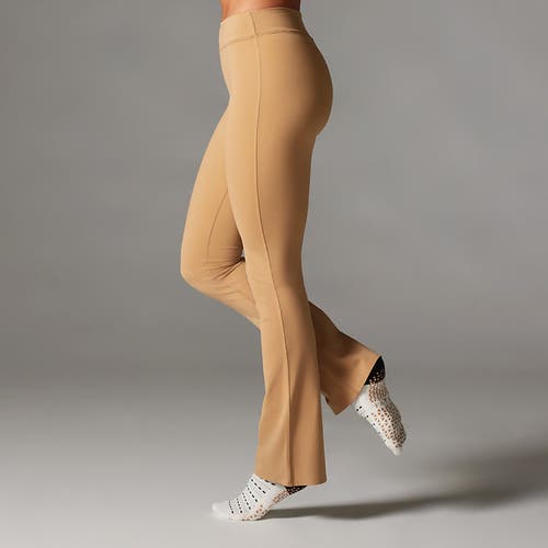 Tavi High Waisted Bootcut In Brown