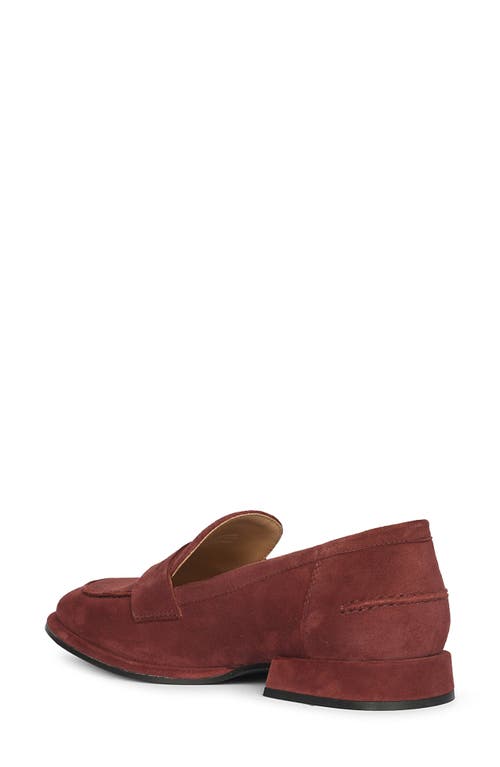 Saint G Carla Penny Loafer In Burgundy