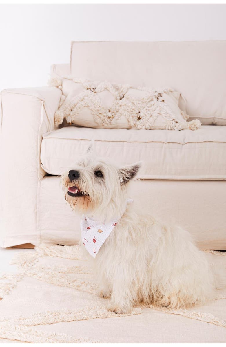 Babycottons Christmas Pet Bandana for Infant, Alternate, color, Full Print