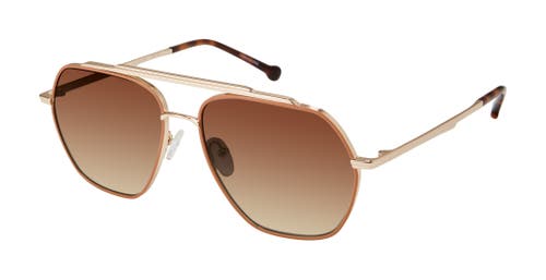 Colors In Optics Mariner Sunglasses in Gold Rum at Nordstrom