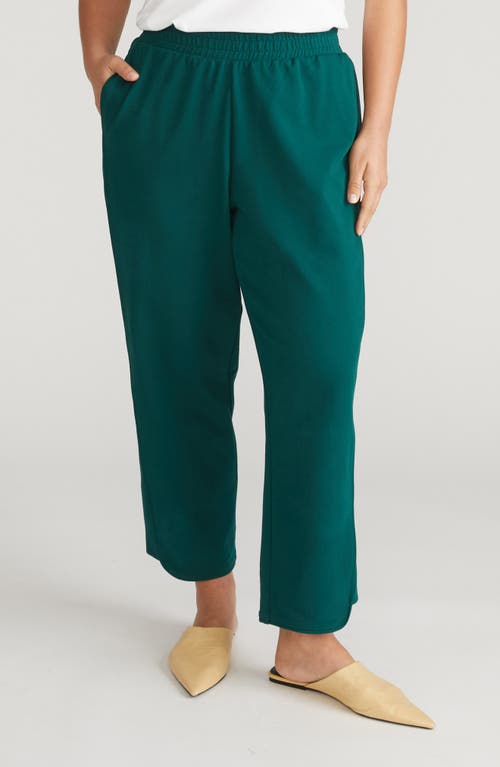 Universal Standard Varsity Pull-on Wide Leg Terry Pants In Green