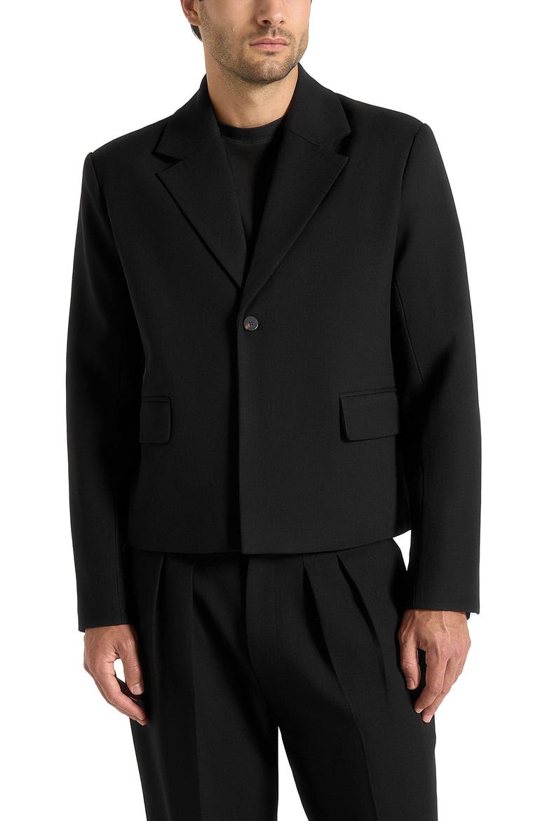 Silas Tailored Cropped Blazer, Alternate, color, Black