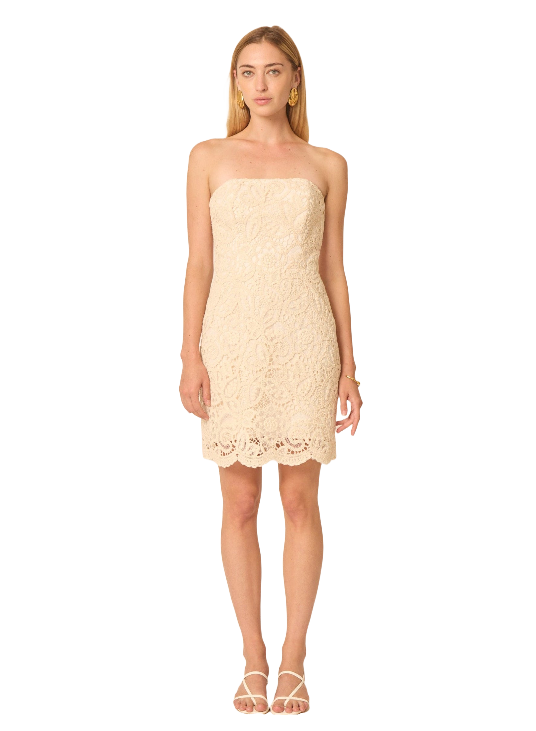 selected Lace embroidery