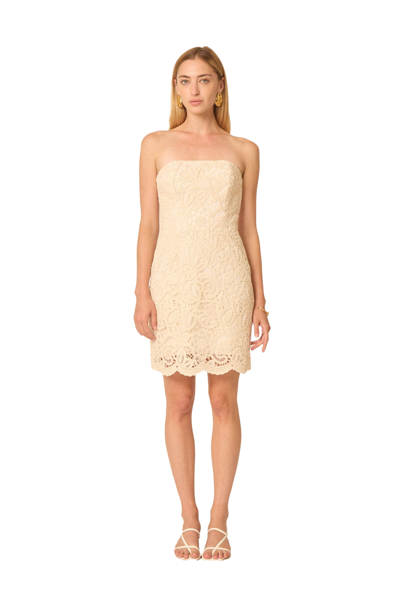 Solay Dress, Main, color, Lace embroidery