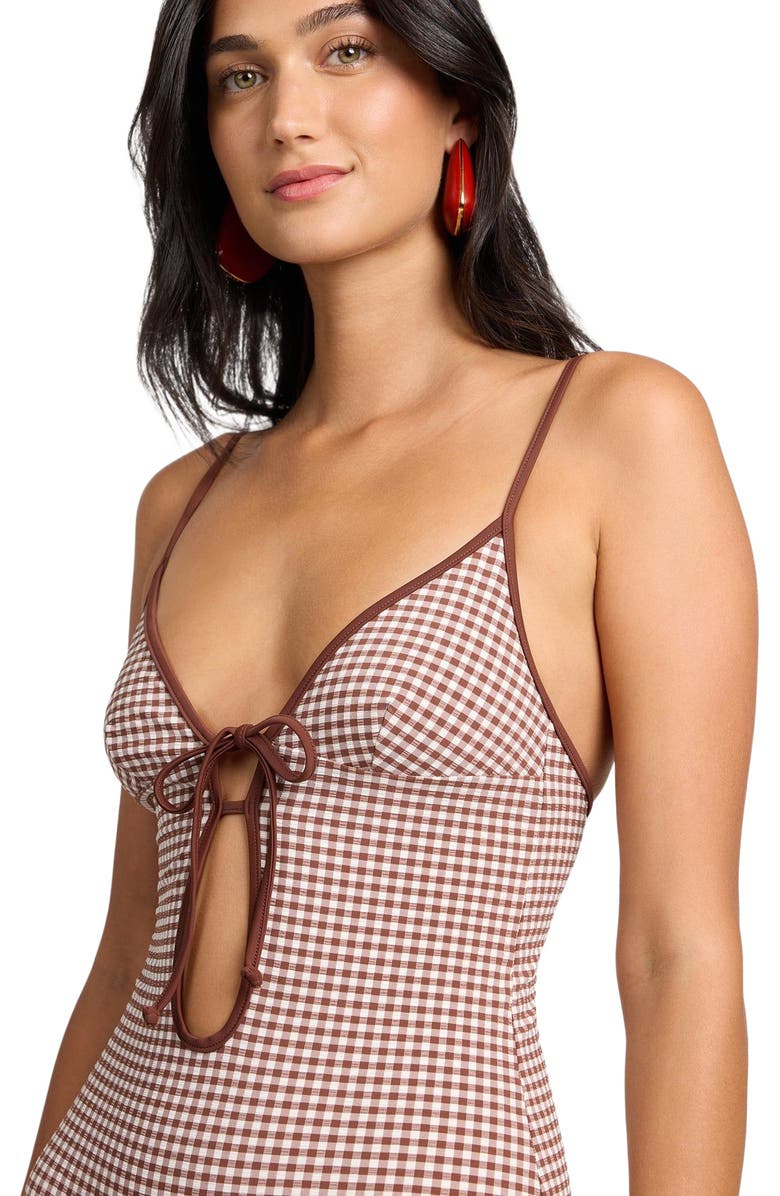 Onia Soleil Tie Front One-Piece, Alternate, color, Cappuccino/Egrt