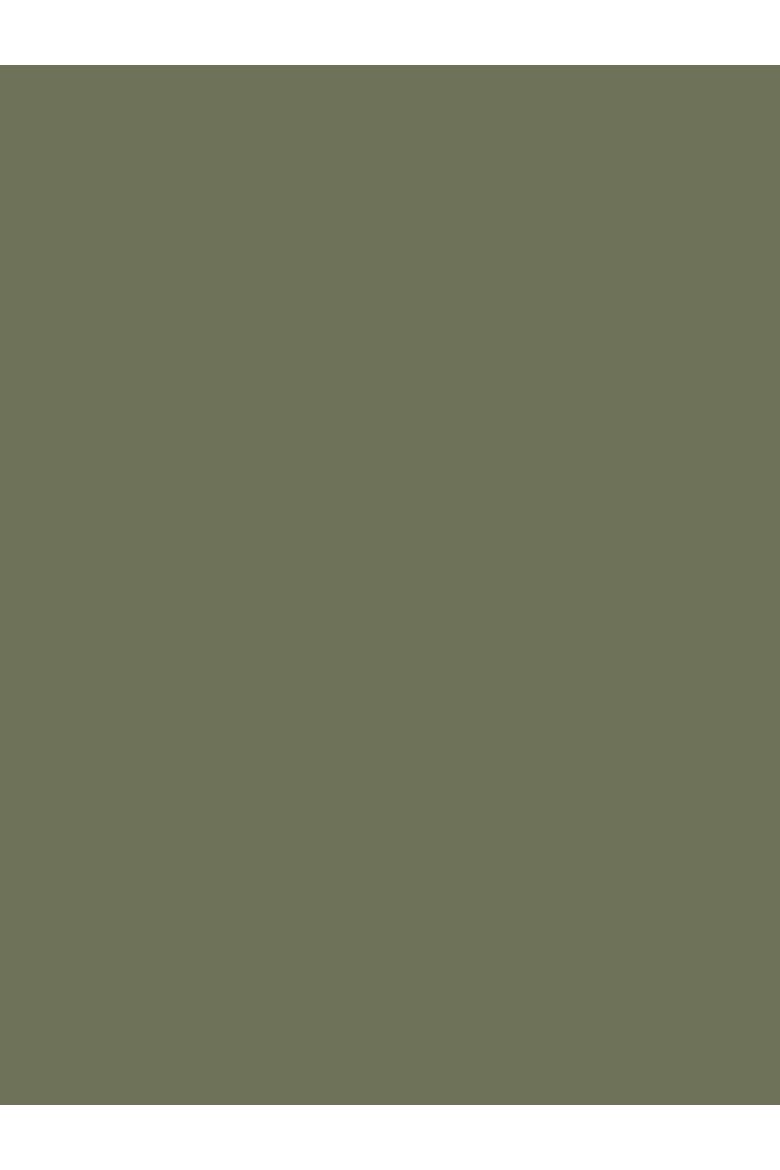 Linen Western Jacket, Alternate, color, KHAKI