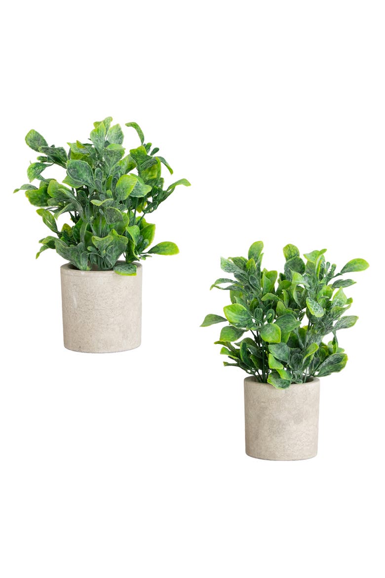 8-in Artificial Greenery in Decorative Planter - Set of 2, Main, color, Green