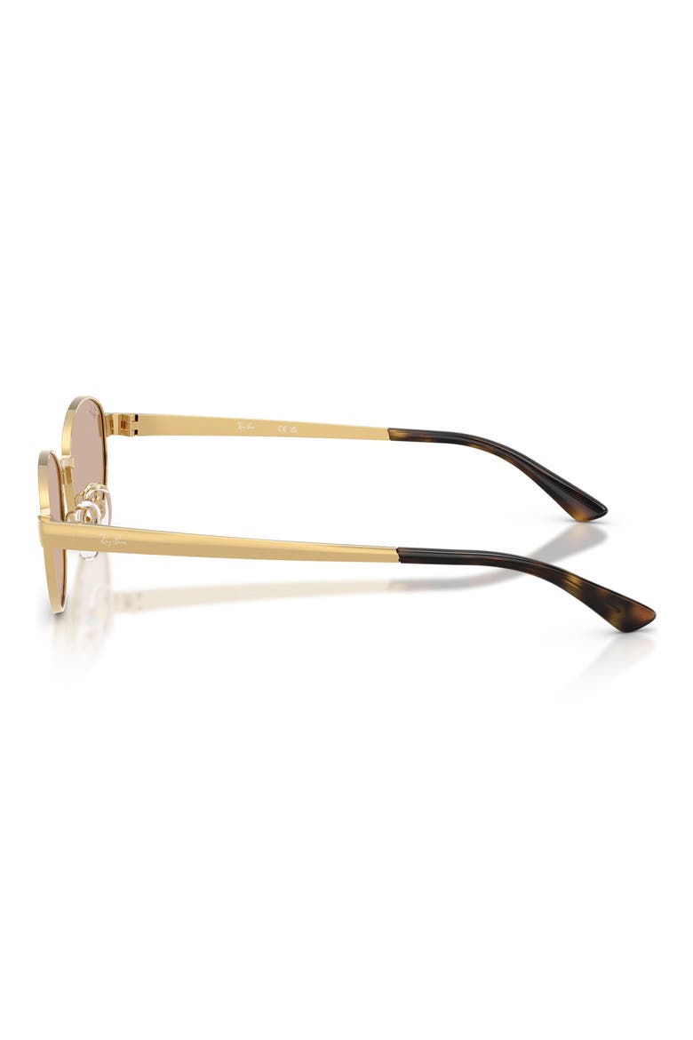 55mm Oval Sunglasses, Alternate, color, ARISTA / LIGHT BROWN