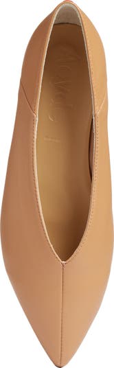 Moa Pointed Toe Flat