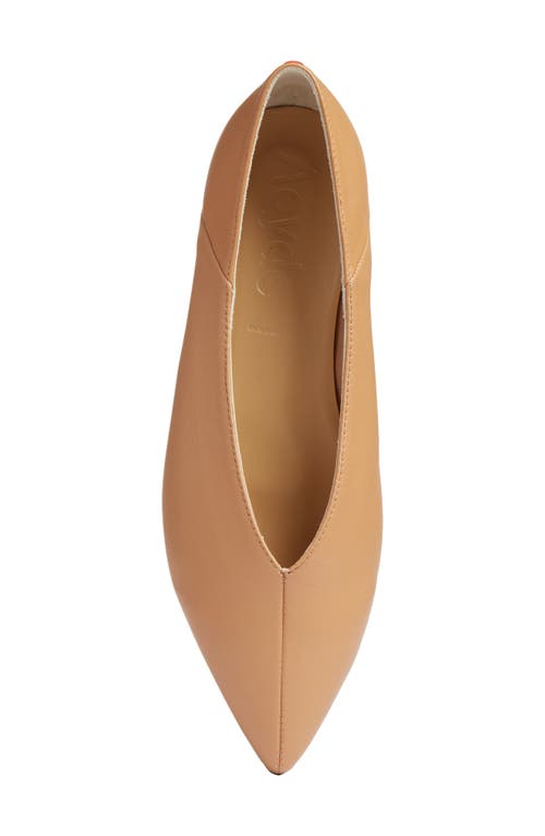 Aeyde Pointed-toe Leather Ballerina In Brown