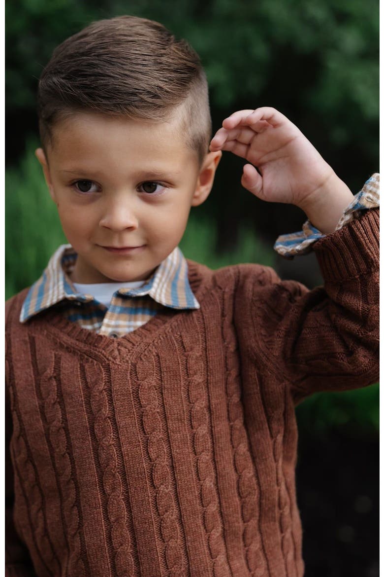 Boys' Organic Fine Gauge Cable V-Neck Sweater, Kids, Alternate, color, Cinnamon Heather Cable