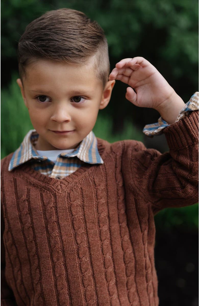 Hope & Henry Boys' Organic Fine Gauge Cable V-Neck Sweater, Kids, Alternate, color, 