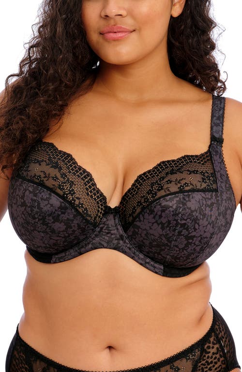 Elomi Lucie Full Figure Underwire Plunge Bra in Black at Nordstrom, Size 38H